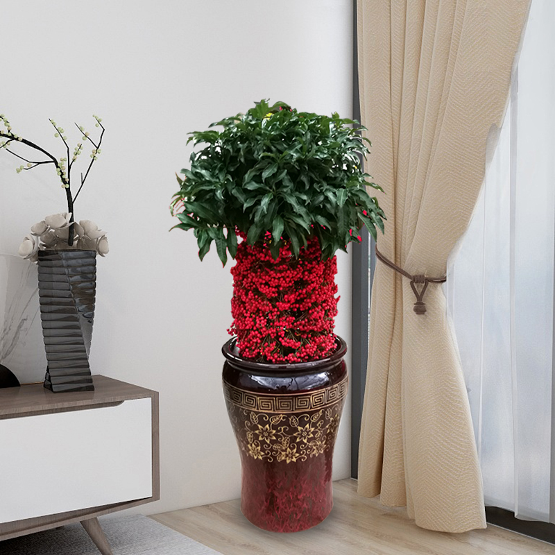 養(yǎng)花該如何給土壤殺蟲？4個小方法，既能省錢又讓花卉長得更好