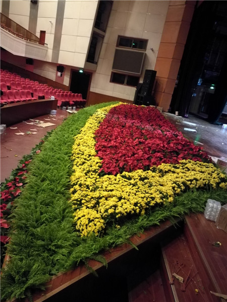 北京花卉植物菊花的種植簡單，記住這4點，開花更大