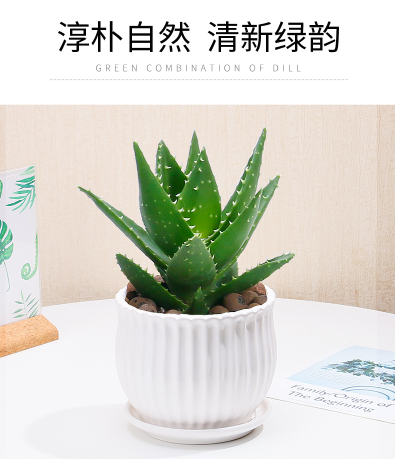 北京室內綠植租賃公司