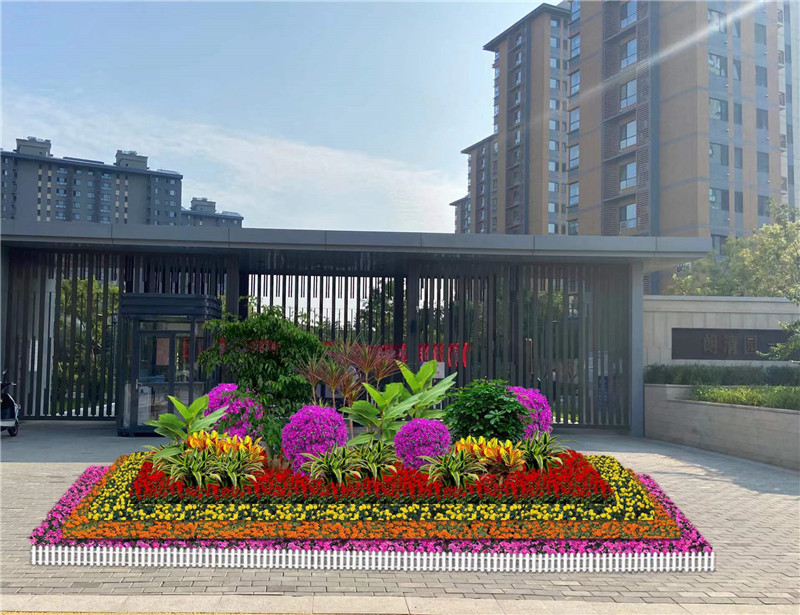 北京望京綠植租擺北京國(guó)貿(mào)綠植租擺北京酒仙橋綠植租擺公司