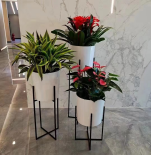 中關(guān)村綠植租擺公司中關(guān)村花卉租賃中關(guān)村綠植花卉租擺