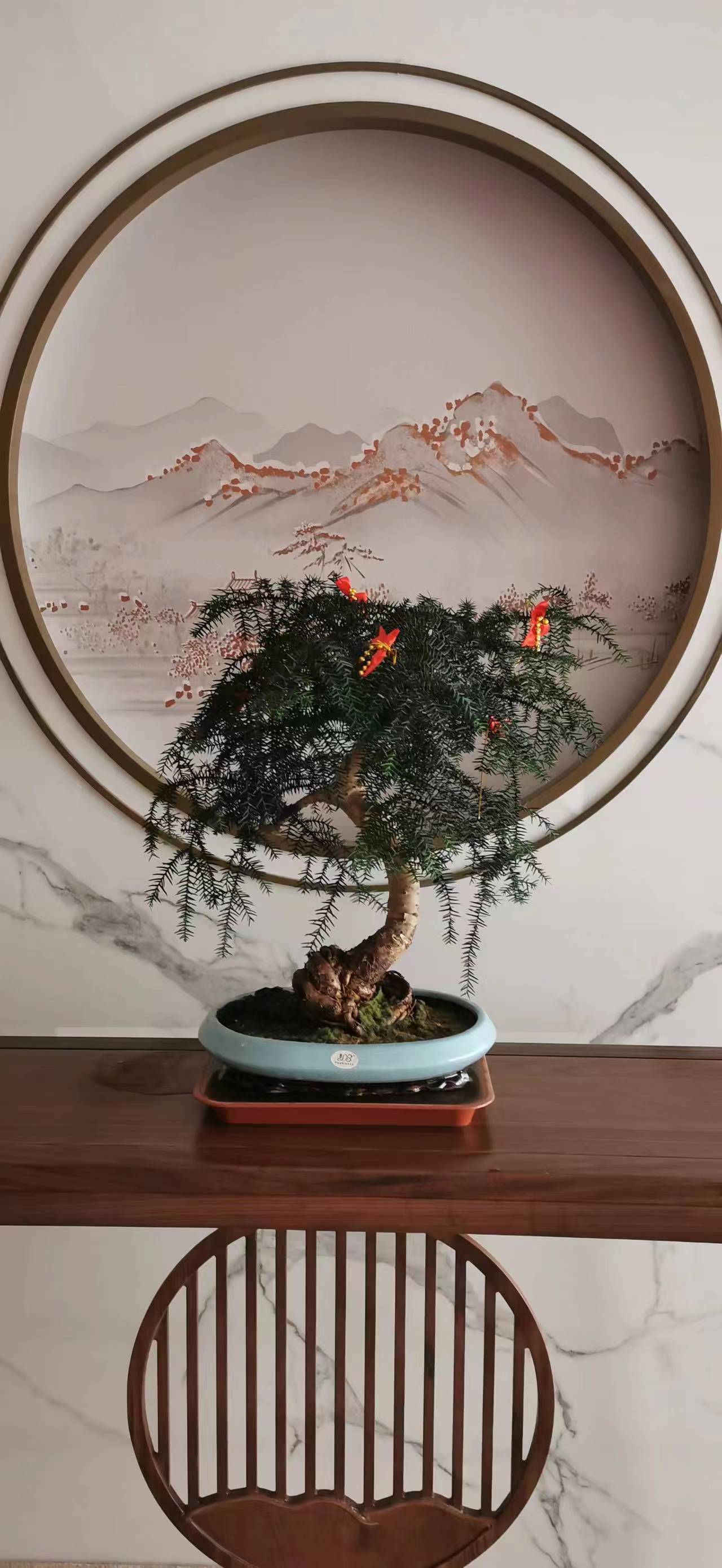 寫字樓綠植租賃花卉租擺朝陽區(qū)綠植租擺公司，