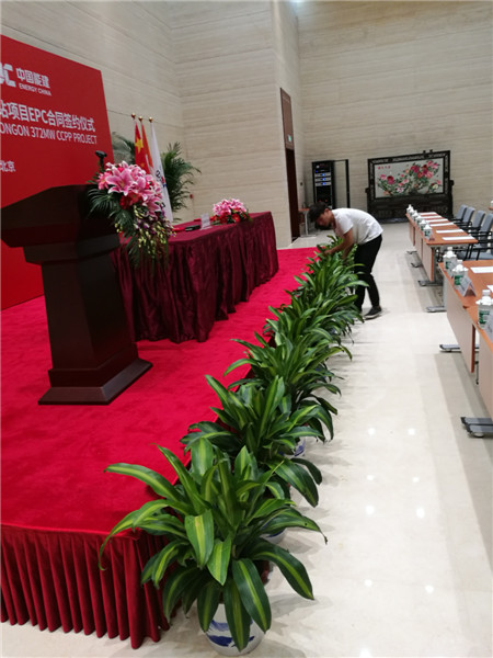 綠植租擺給辦公室增添綠色